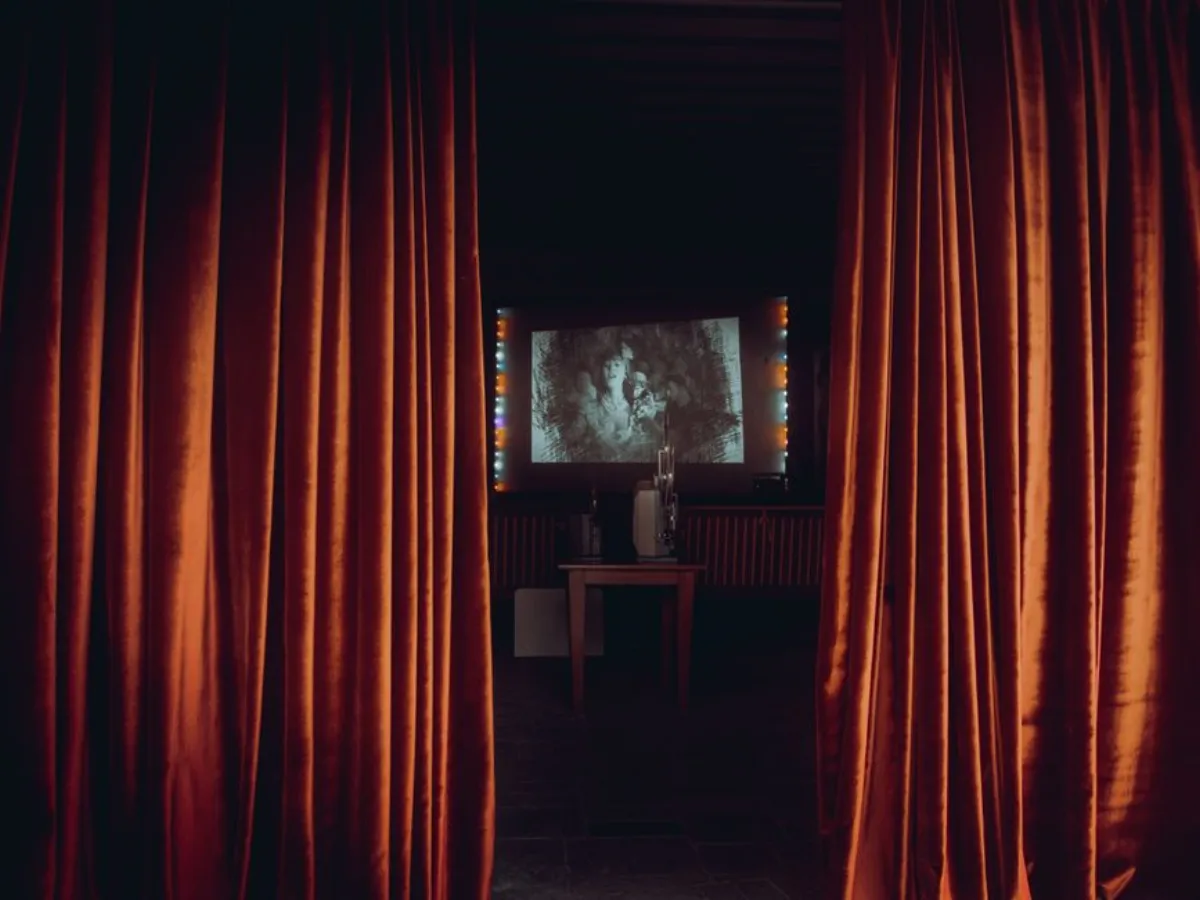 窝窝视频在线观看别瞎点：行家看片法